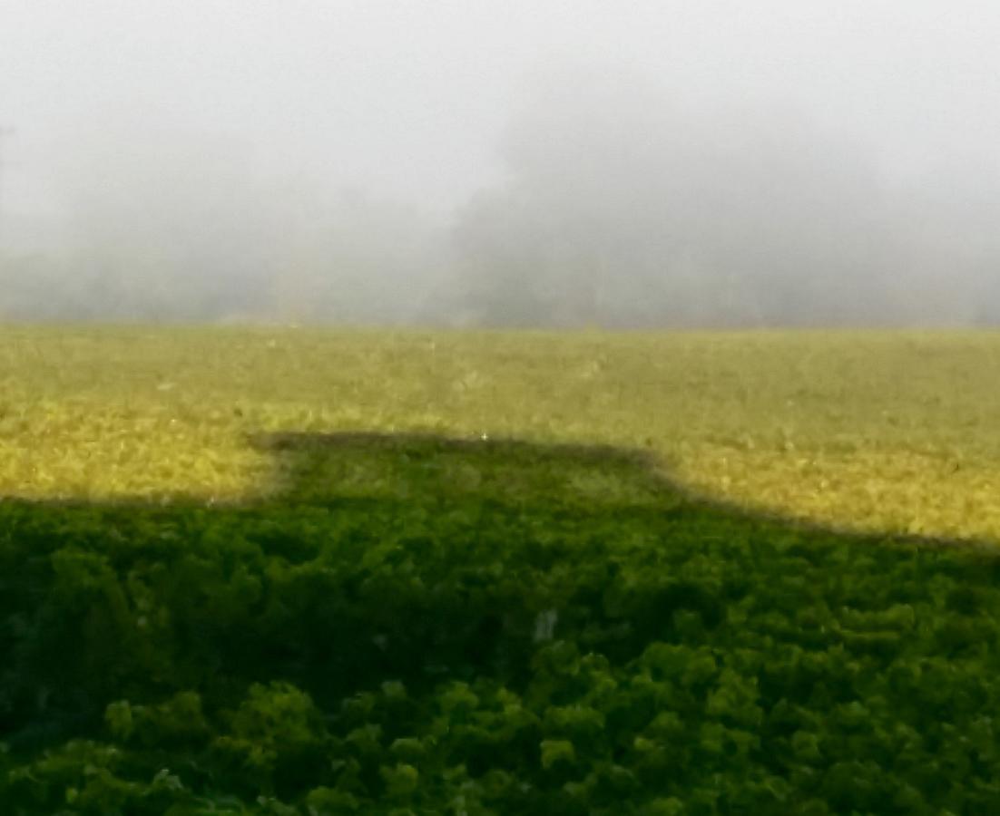 Chateau Trillon Sauternes Exteriör bild