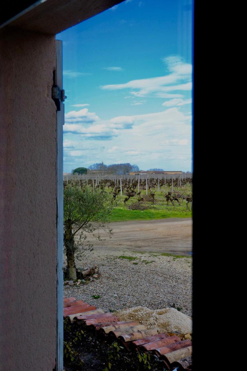 Chateau Trillon Sauternes Exteriör bild